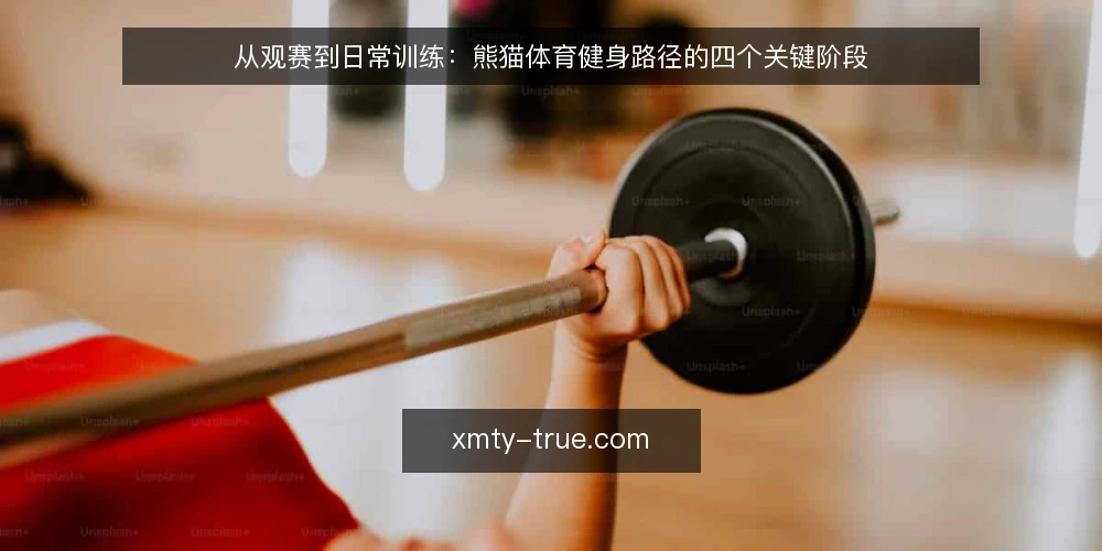 从观赛到日常训练:熊猫体育健身路径的四个关键阶段 — 观赛热情与训练现实之间的落差 配图