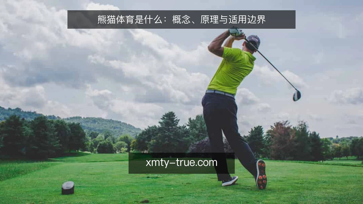 熊猫体育是什么:概念、原理与适用边界