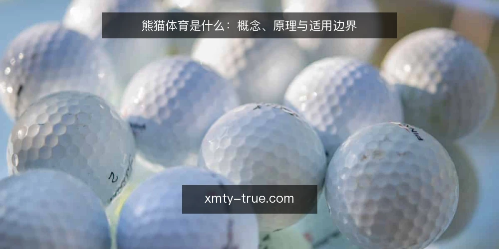 熊猫体育是什么:概念、原理与适用边界 — 熊猫体育到底指什么 配图