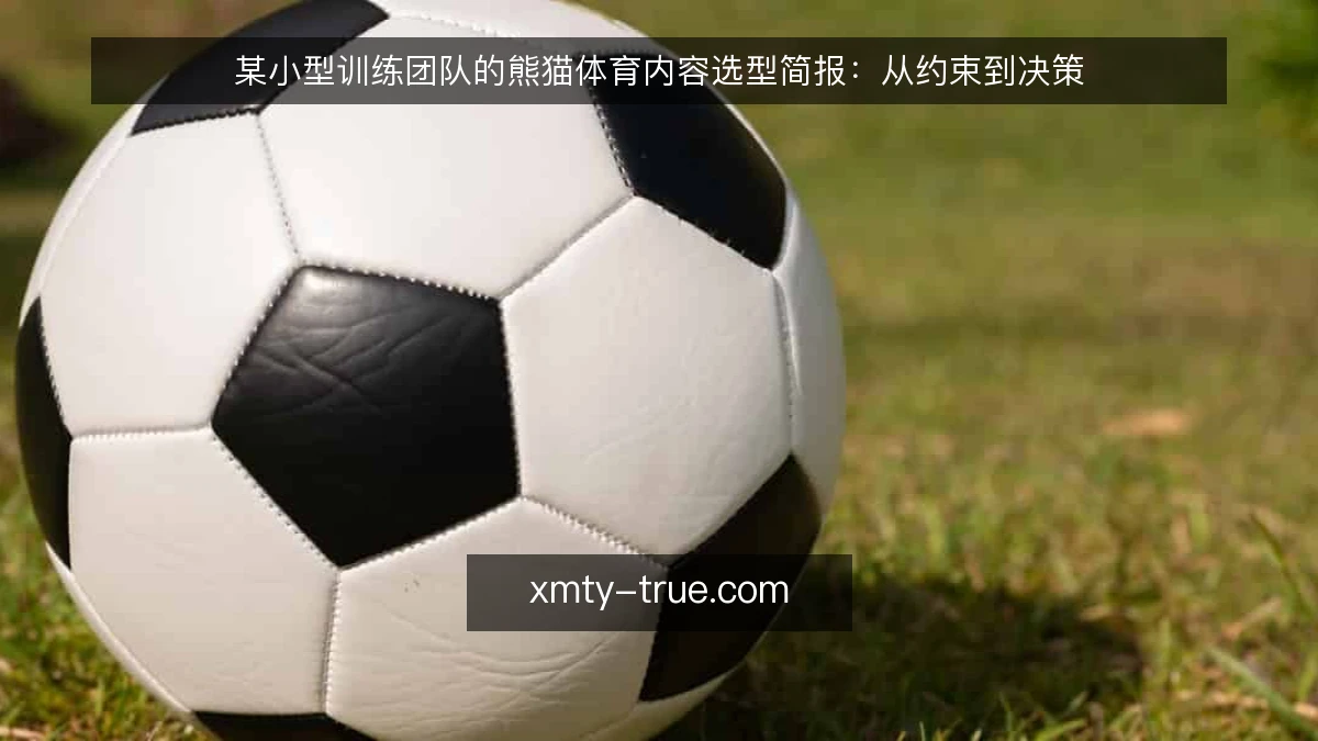 某小型训练团队的熊猫体育内容选型简报：从约束到决策
