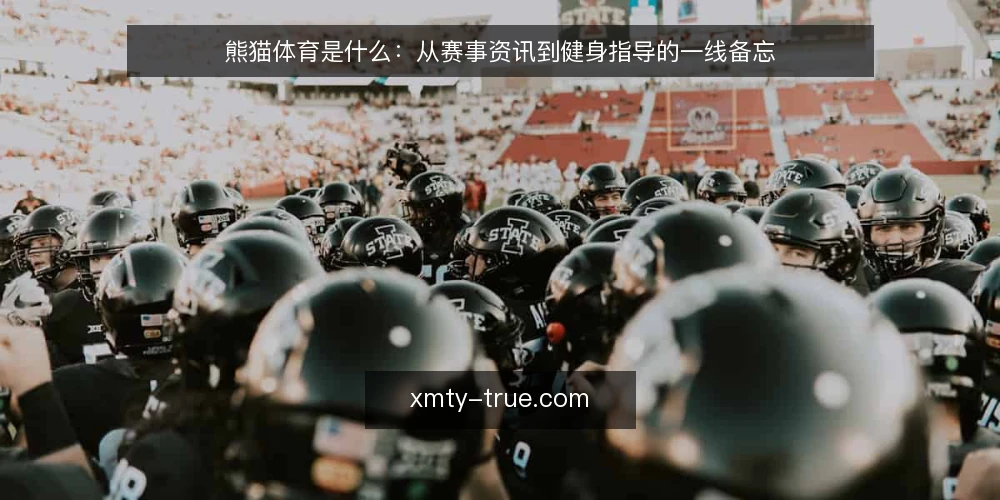 熊猫体育是什么:从赛事资讯到健身指导的一线备忘 — 先看现场信号:熊猫体育到底指什么 配图